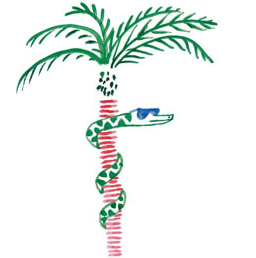 Иллюстрация к книге — Морж, учитель и поэт [i_075.jpg]