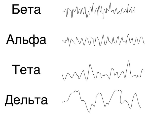 Иллюстрация к книге — Тайны бессмертия [i_004.jpg]