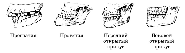 Иллюстрация к книге — Возрастная анатомия и физиология. Основы профилактики и коррекции нарушений в развитии детей [i_019.jpg]