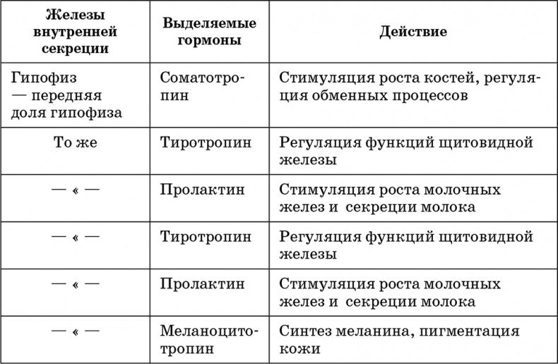 Иллюстрация к книге — Возрастная анатомия и физиология. Основы профилактики и коррекции нарушений в развитии детей [i_037.jpg]
