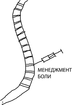 Иллюстрация к книге — Большая книга упражнений для спины. Комплекс &quot;Умный позвоночник&quot; [_15.jpg]