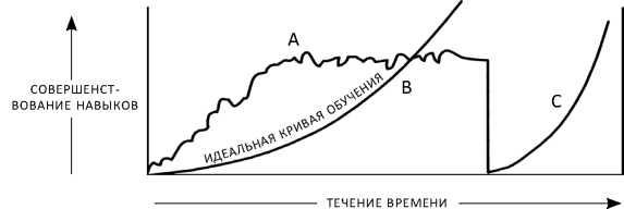 Иллюстрация к книге — Совершенное владение телом и разумом. Как добиться успеха в спорте и жизни [imgA5C3.jpg]