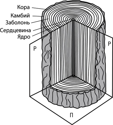 Иллюстрация к книге — Учебник по выживанию в экстремальных ситуациях [i_172.jpg]