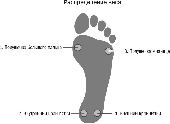 Иллюстрация к книге — Йога при остеопорозе [_29.jpg]