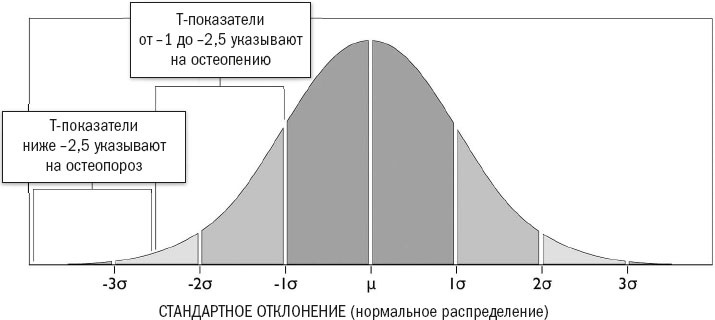 Иллюстрация к книге — Йога при остеопорозе [_4.jpg]