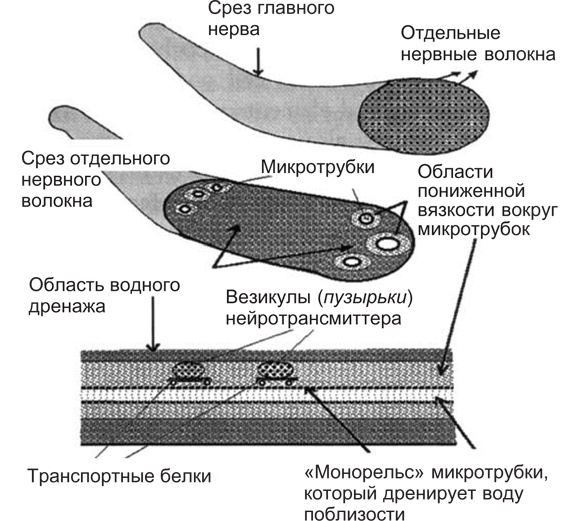 Иллюстрация к книге — Вода для здоровья [i_009.jpg]