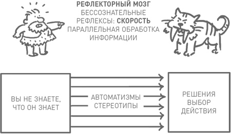 Иллюстрация к книге — Мозг освобожденный. Как предотвратить перегрузки и использовать свой потенциал на полную мощь [i_018.jpg]