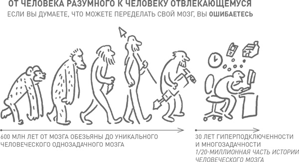 Иллюстрация к книге — Мозг освобожденный. Как предотвратить перегрузки и использовать свой потенциал на полную мощь [i_030.jpg]