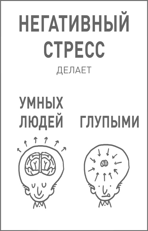 Иллюстрация к книге — Мозг освобожденный. Как предотвратить перегрузки и использовать свой потенциал на полную мощь [i_041.jpg]