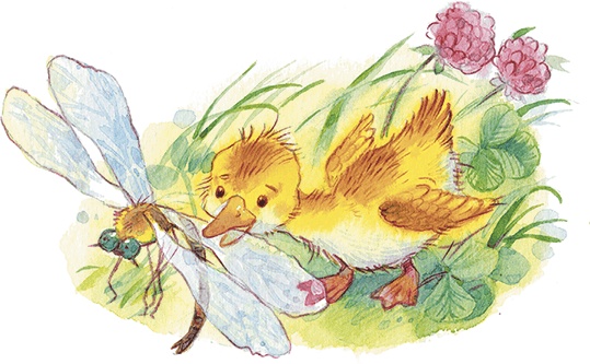 Иллюстрация к книге — Храбрый утенок [i_002.jpg]