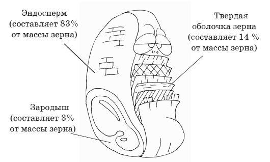 Иллюстрация к книге — Палеодиета – живое питание для здоровья [i_007.jpg]
