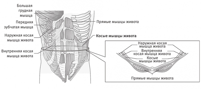 Иллюстрация к книге — Совершенное тело за 4 часа [i_044.jpg]
