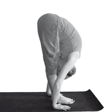 Иллюстрация к книге — Йога. Максимально просто, понятно, наглядно и полезно! [Autogen_eBook_id13.jpg]