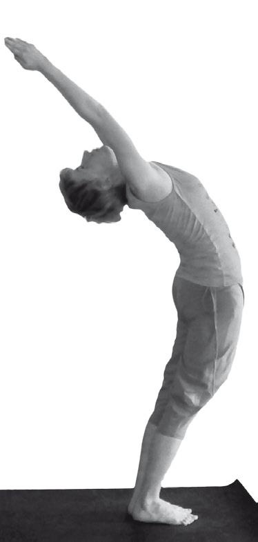 Иллюстрация к книге — Йога. Максимально просто, понятно, наглядно и полезно! [Autogen_eBook_id14.jpg]