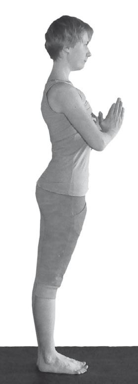 Иллюстрация к книге — Йога. Максимально просто, понятно, наглядно и полезно! [Autogen_eBook_id153.jpg]