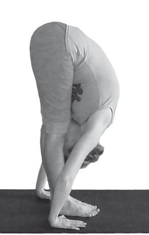 Иллюстрация к книге — Йога. Максимально просто, понятно, наглядно и полезно! [Autogen_eBook_id155.jpg]