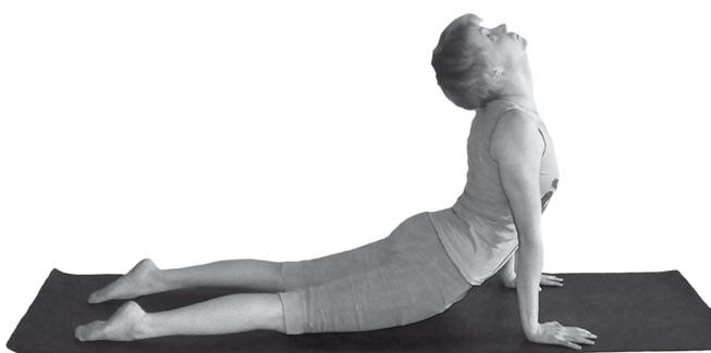 Иллюстрация к книге — Йога. Максимально просто, понятно, наглядно и полезно! [Autogen_eBook_id159.jpg]