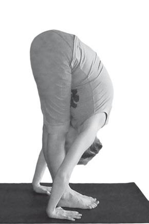 Иллюстрация к книге — Йога. Максимально просто, понятно, наглядно и полезно! [Autogen_eBook_id162.jpg]