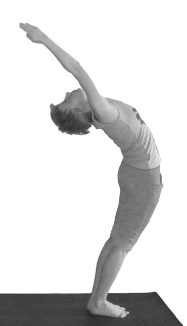 Иллюстрация к книге — Йога. Максимально просто, понятно, наглядно и полезно! [Autogen_eBook_id163.jpg]