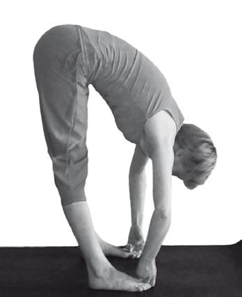 Иллюстрация к книге — Йога. Максимально просто, понятно, наглядно и полезно! [Autogen_eBook_id17.jpg]