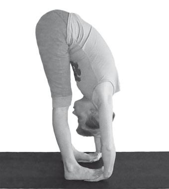 Иллюстрация к книге — Йога. Максимально просто, понятно, наглядно и полезно! [Autogen_eBook_id171.jpg]