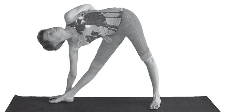 Иллюстрация к книге — Йога. Максимально просто, понятно, наглядно и полезно! [Autogen_eBook_id174.jpg]