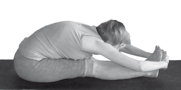 Иллюстрация к книге — Йога. Максимально просто, понятно, наглядно и полезно! [Autogen_eBook_id188.jpg]