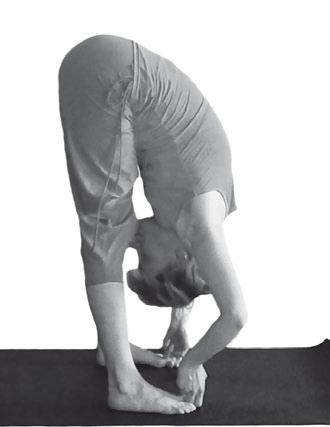 Иллюстрация к книге — Йога. Максимально просто, понятно, наглядно и полезно! [Autogen_eBook_id19.jpg]