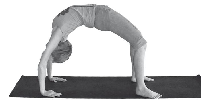 Иллюстрация к книге — Йога. Максимально просто, понятно, наглядно и полезно! [Autogen_eBook_id203.jpg]