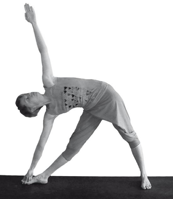 Иллюстрация к книге — Йога. Максимально просто, понятно, наглядно и полезно! [Autogen_eBook_id23.jpg]