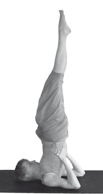 Иллюстрация к книге — Йога. Максимально просто, понятно, наглядно и полезно! [Autogen_eBook_id62.jpg]