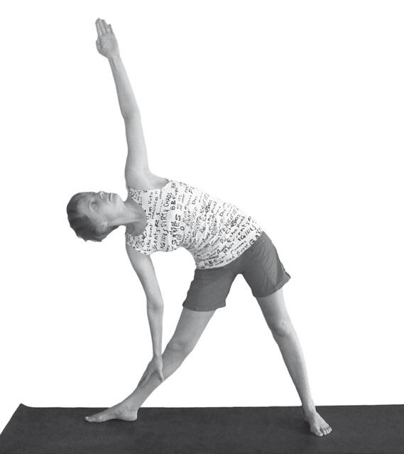 Иллюстрация к книге — Йога. Максимально просто, понятно, наглядно и полезно! [Autogen_eBook_id93.jpg]