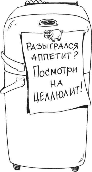 Иллюстрация к книге — Я тоже была толстой [i_010.jpg]
