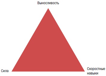 Иллюстрация к книге — Библия велосипедиста [i_040.jpg]