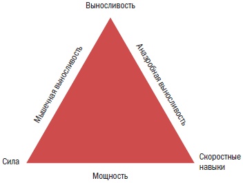 Иллюстрация к книге — Библия велосипедиста [i_041.jpg]
