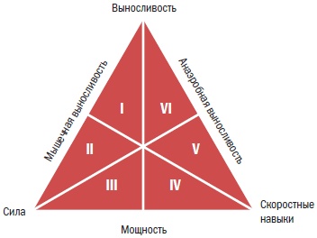 Иллюстрация к книге — Библия велосипедиста [i_045.jpg]