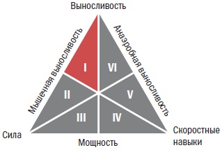 Иллюстрация к книге — Библия велосипедиста [i_046.jpg]