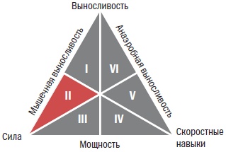 Иллюстрация к книге — Библия велосипедиста [i_048.jpg]