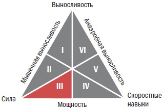 Иллюстрация к книге — Библия велосипедиста [i_050.jpg]