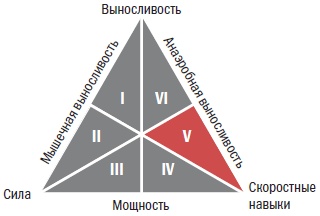 Иллюстрация к книге — Библия велосипедиста [i_054.jpg]