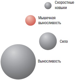 Иллюстрация к книге — Библия велосипедиста [i_063.jpg]