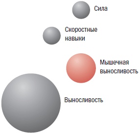 Иллюстрация к книге — Библия велосипедиста [i_064.jpg]