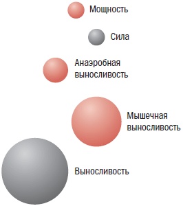 Иллюстрация к книге — Библия велосипедиста [i_065.jpg]