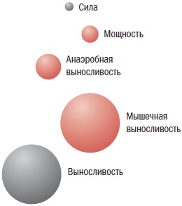 Иллюстрация к книге — Библия велосипедиста [i_066.jpg]