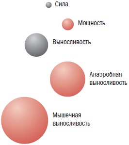 Иллюстрация к книге — Библия велосипедиста [i_068.jpg]
