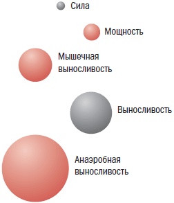 Иллюстрация к книге — Библия велосипедиста [i_069.jpg]