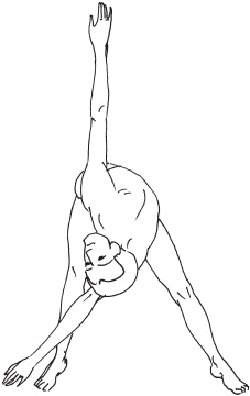 Иллюстрация к книге — Йога с нуля. Основные асаны [Autogen_eBook_id10.jpg]