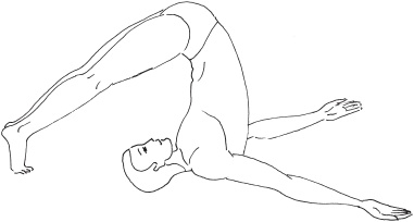 Иллюстрация к книге — Йога с нуля. Основные асаны [Autogen_eBook_id18.jpg]