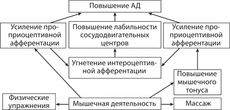 Иллюстрация к книге — Атлас. Практический массаж [i_132.jpg]