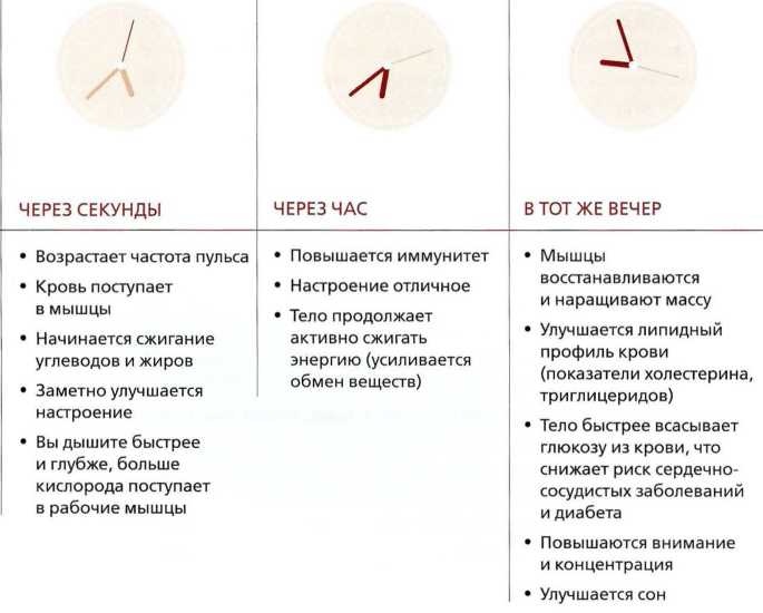 Иллюстрация к книге — Книга о теле [image29.jpg]